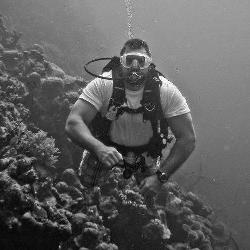 Greg Hamman underwater