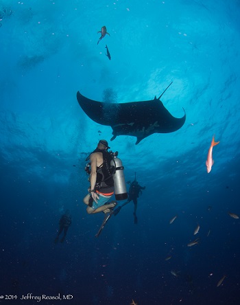 Socorro Matt+Manta2014